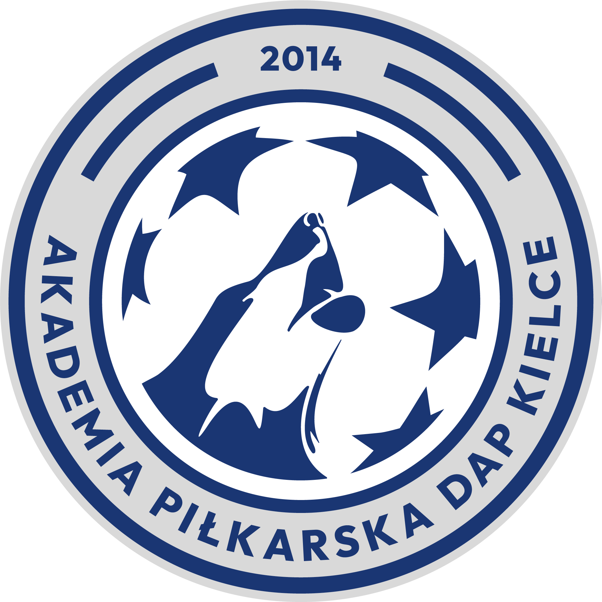 Obozy i Półkolonie z DAP Kielce